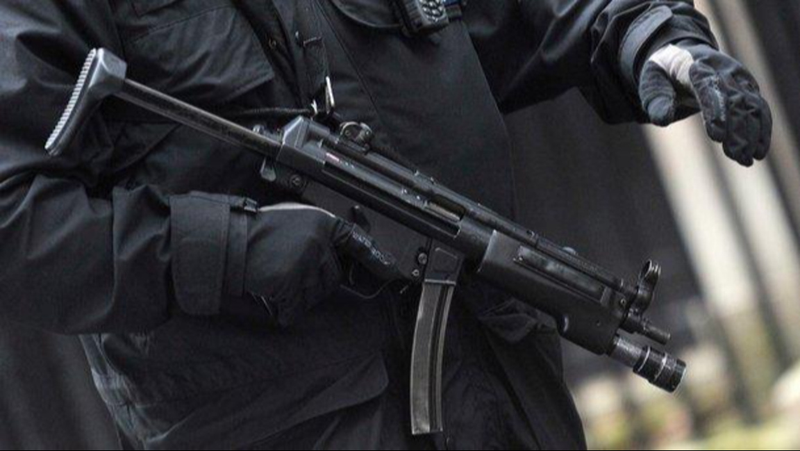 Над 30 задържани при гранична акция в Обединеното кралство