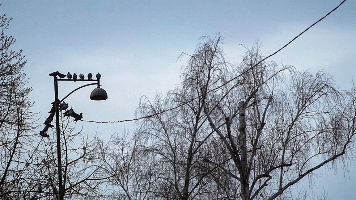 Wetteraussichten für Freitag, den 1.März