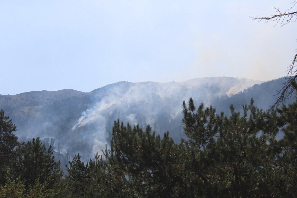 с. Петрово пожарът в планината Славянка