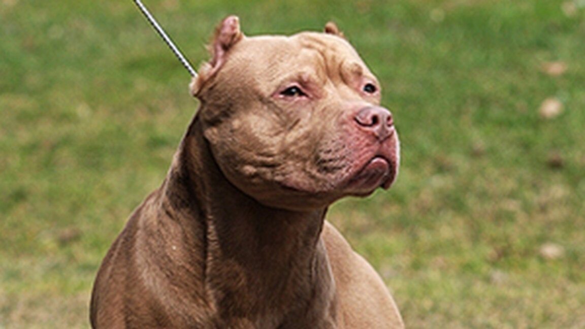 Снимката е илюстративна