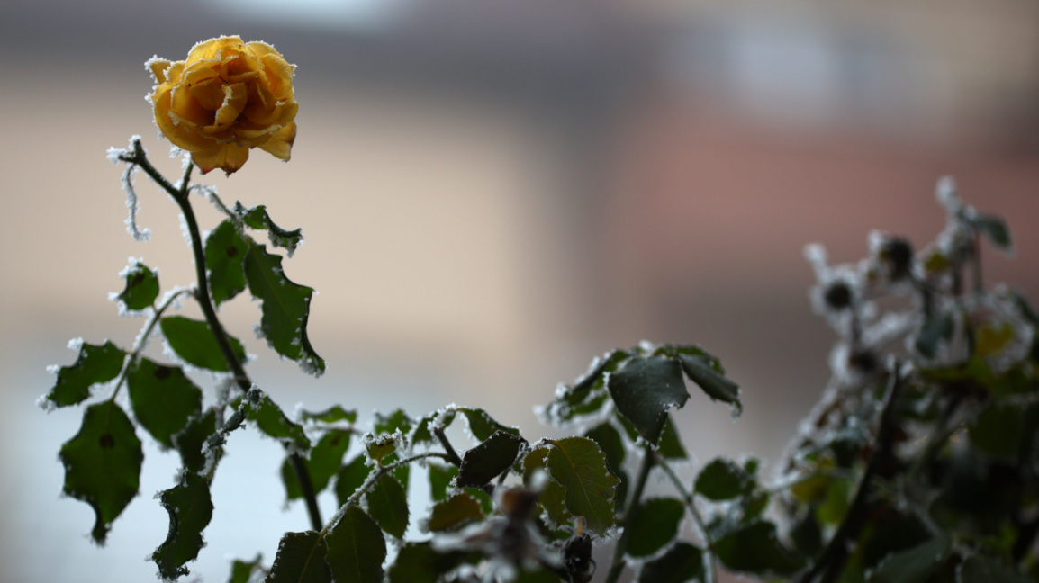 Wetteraussichten für Dienstag, den 23. Dezember