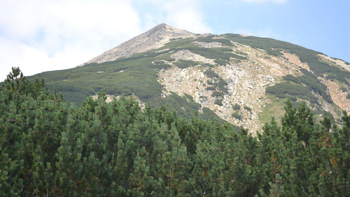 Дъждът е помогнал на огнеборците в битката с пожара в Пирин