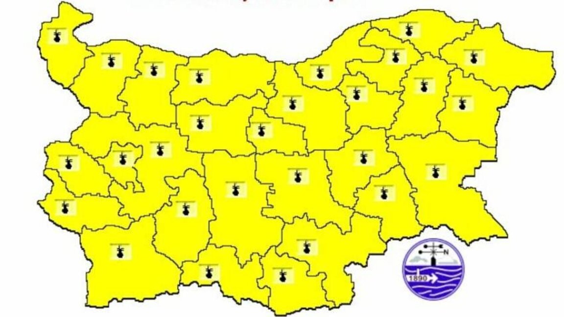 Жълт код за горещо време