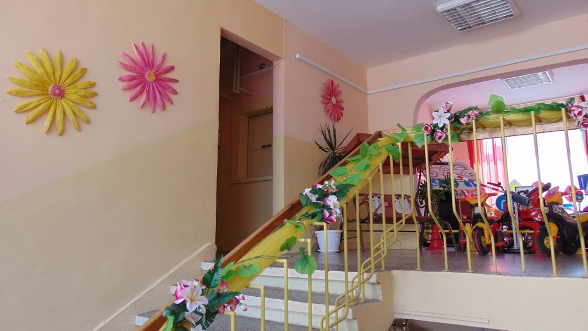 БАПЗГ е против преминаването на детските ясли към МОН