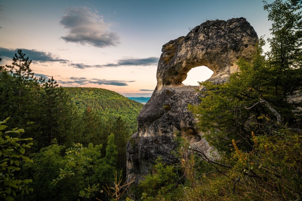Времето днес