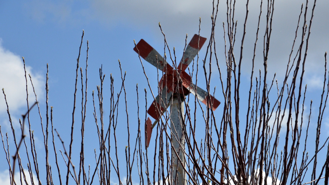 Експерт: Бъдещето принадлежи на иновативните земеделци
