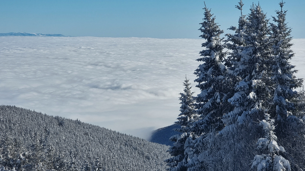 „Посоките на деня“ с Агнес Манова