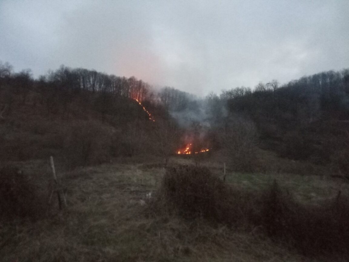90 дка дъбова гора изгоряха в района на село Долни Бошняк