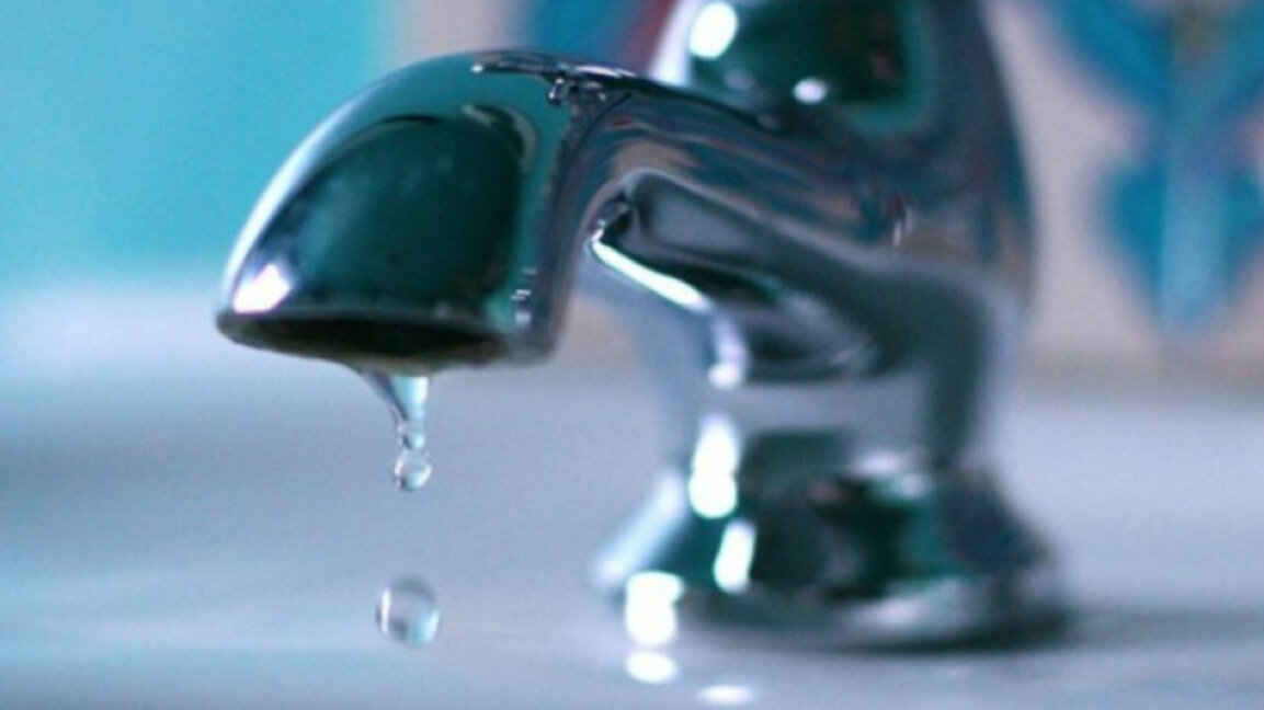 Върбица на воден режим