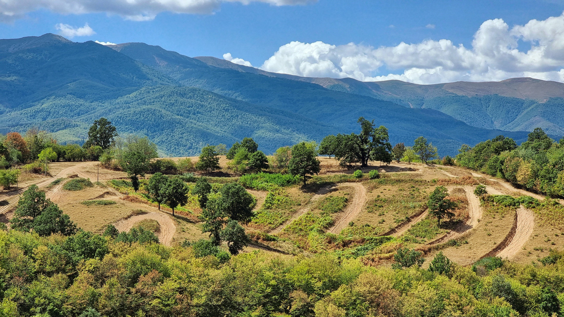 Ζεστός και ηλιόλουστος καιρός 