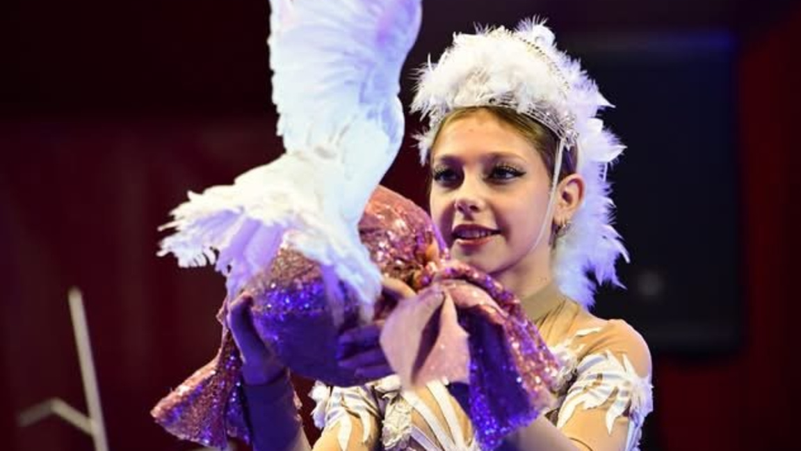 Ардино посреща цирк „Рио“ с атрактивни представления