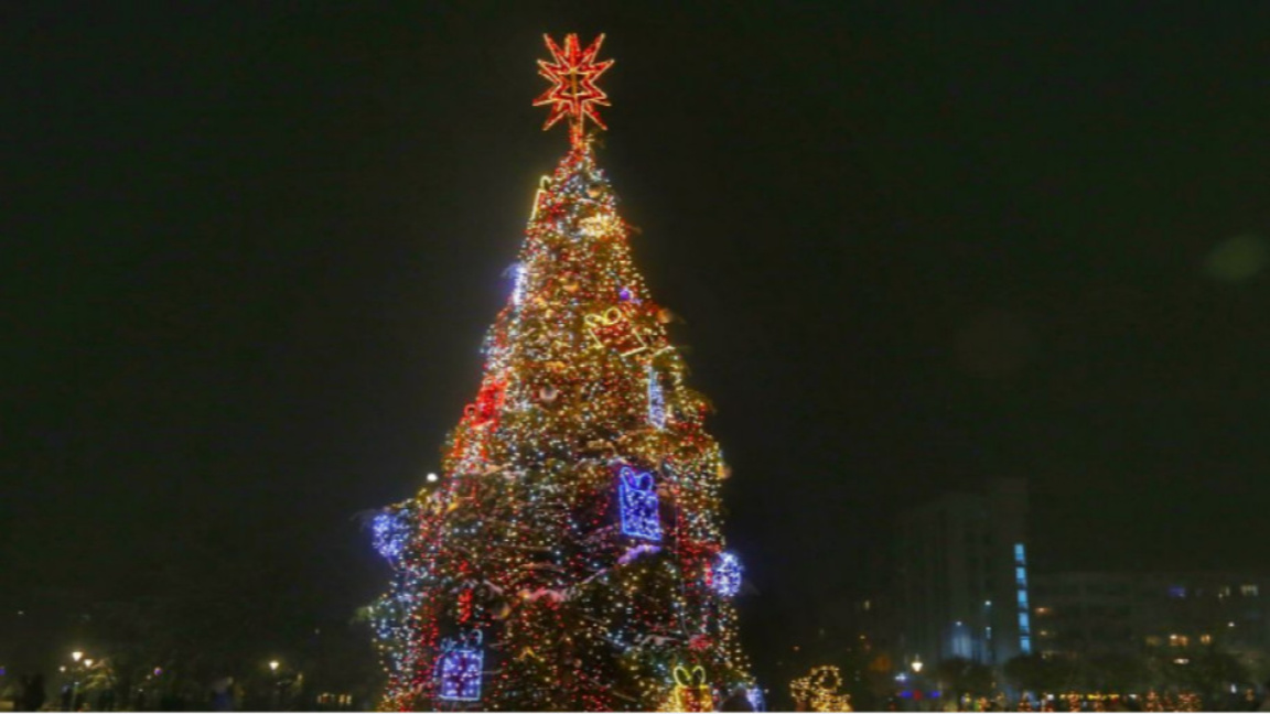Светва софийската елха тази вечер 