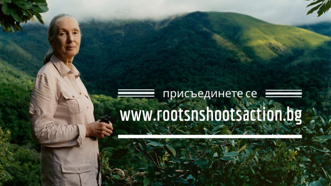 Наследството на Джейн Гудол живее чрез програмата Roots & Shoots