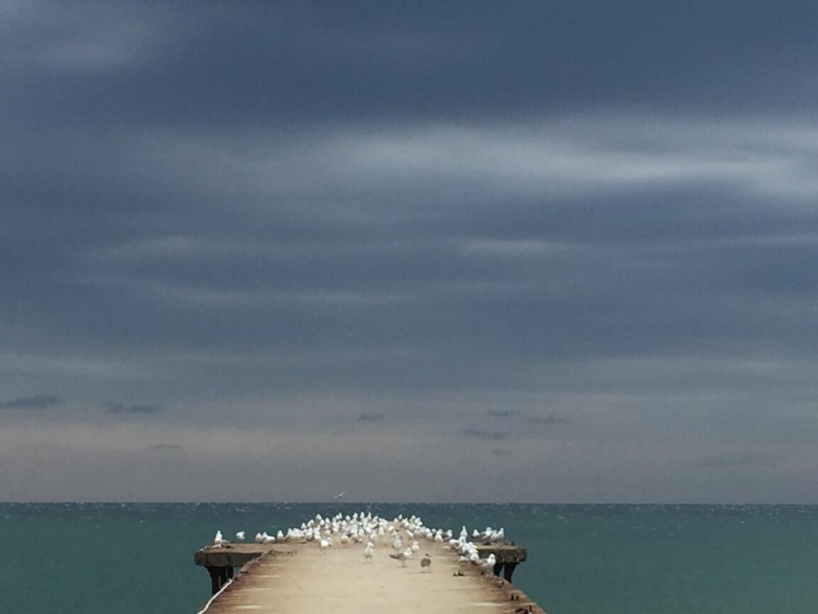Времето днес: Слаб вятър и разкъсана облачност
