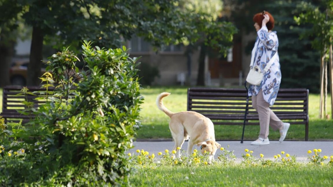Ο ζεστός καιρός συνεχίζεται