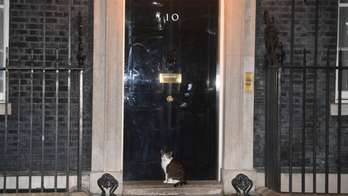 Даунинг стрийт №10
