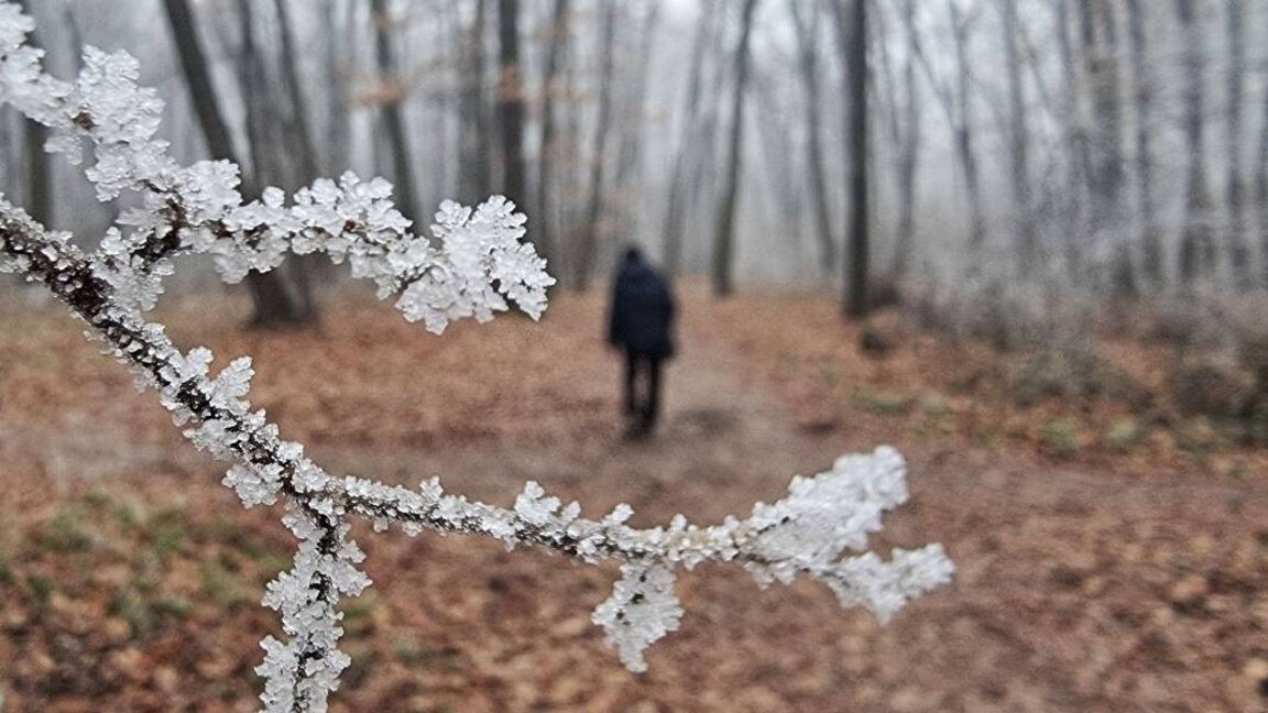 Wetteraussichten für Dienstag, den 21. Januar