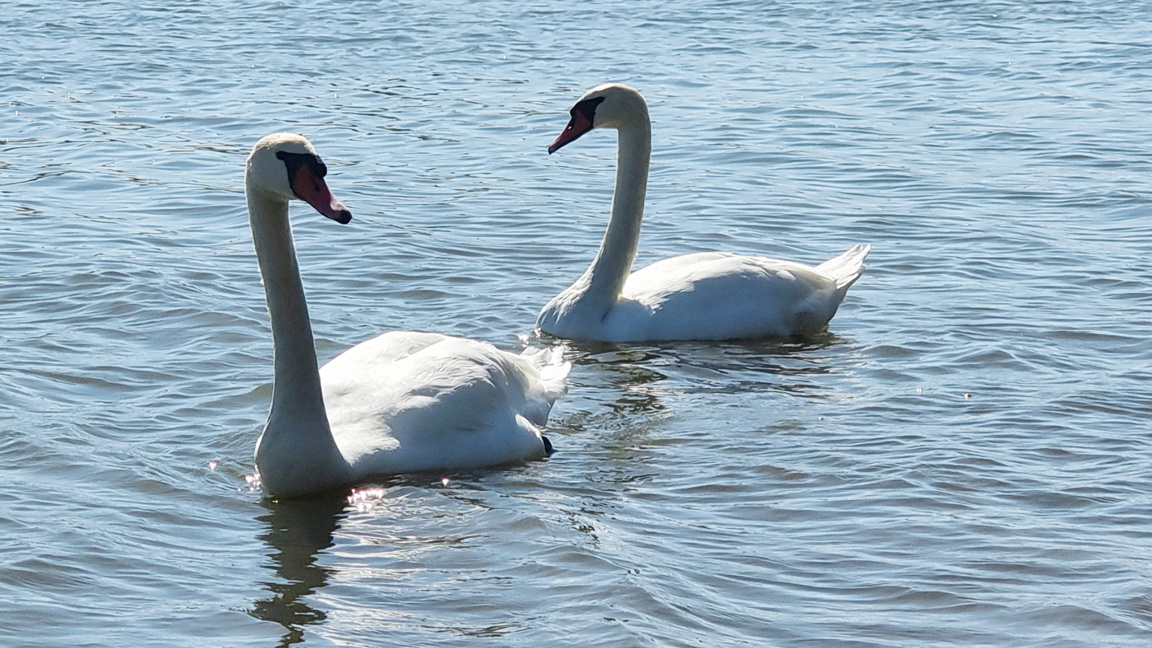 Sunny skies and highs of up to 31°C