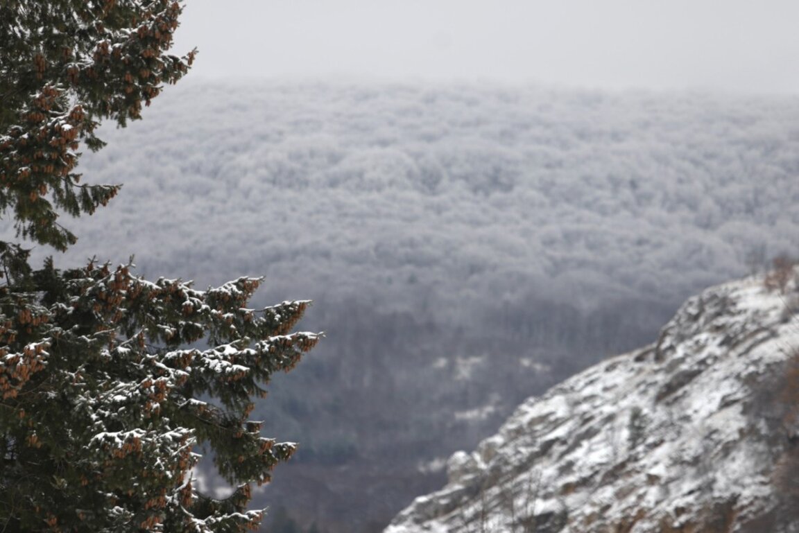 Wetteraussichten für Mittwoch, den 13. November