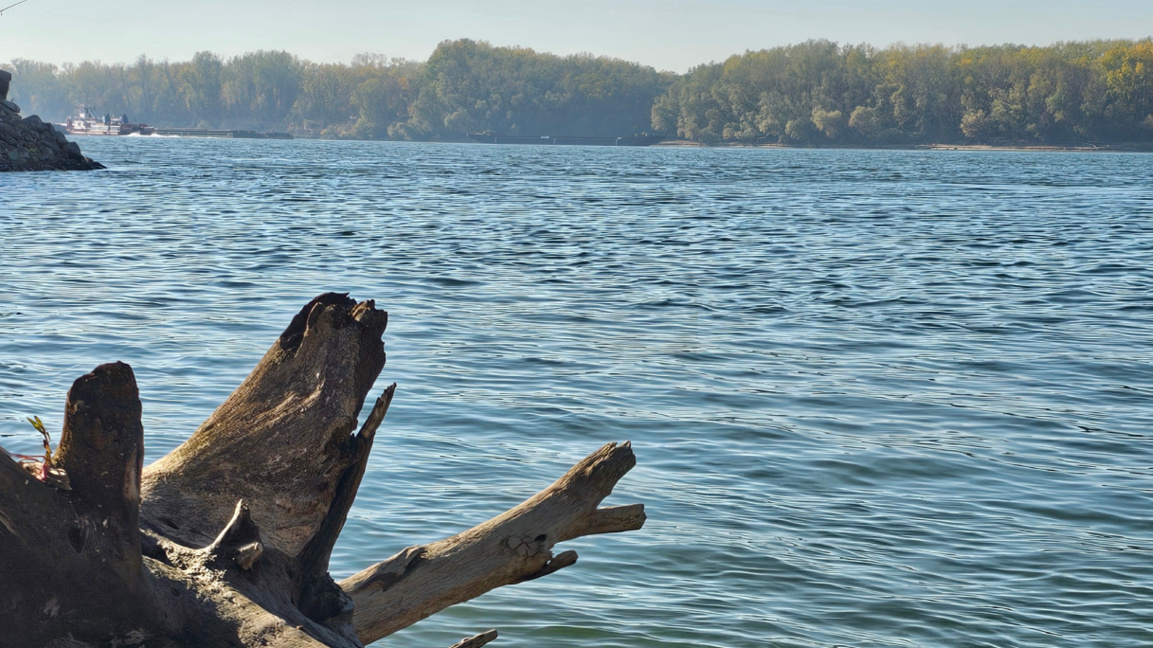 Seven countries discuss environmental issues of the Danube