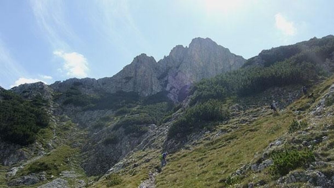 „Ефир за приятели“ с Петрана Кимчева