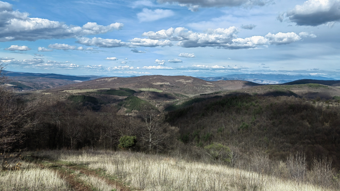 „Посоките на деня“ с Агнес Манова