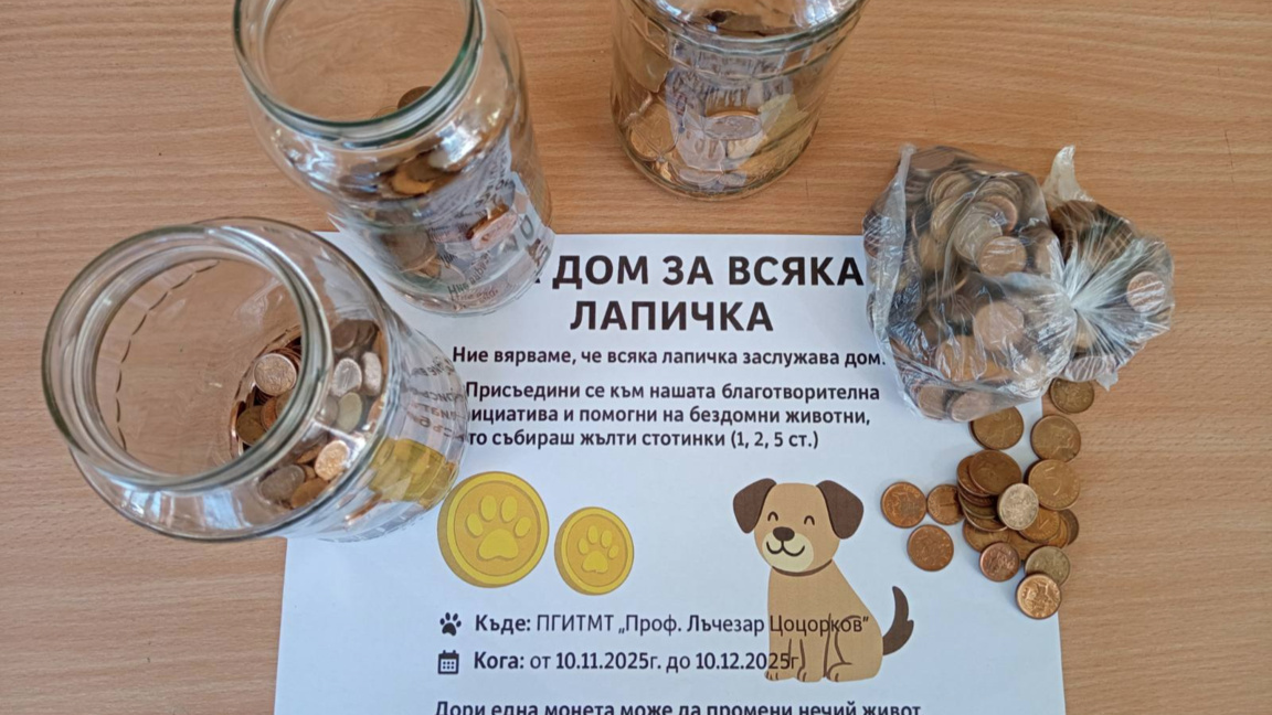 Кампанията "Жълти стотинки за бездомните животни" събра 1800 евро в Панагюрище