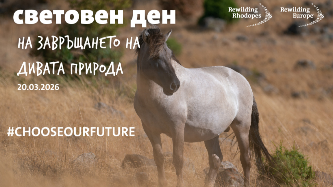 Кърджали отбелязва Деня на завръщането на дивата природа с изложба и игри