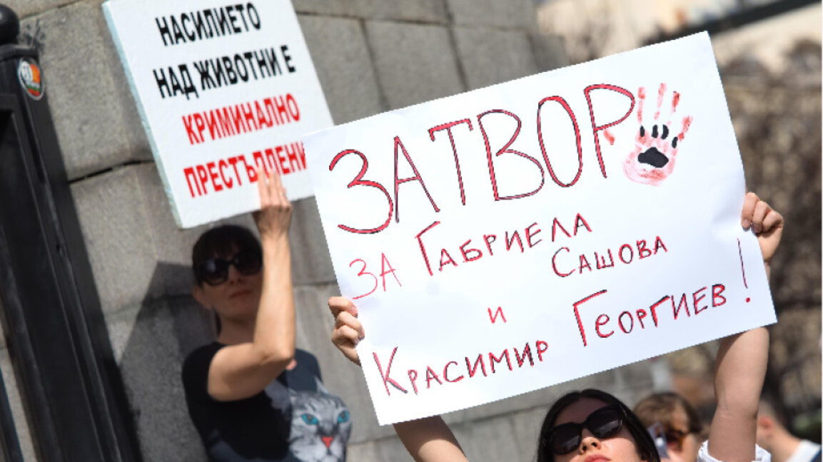 Протест срещу насилието над животни в Стара Загора