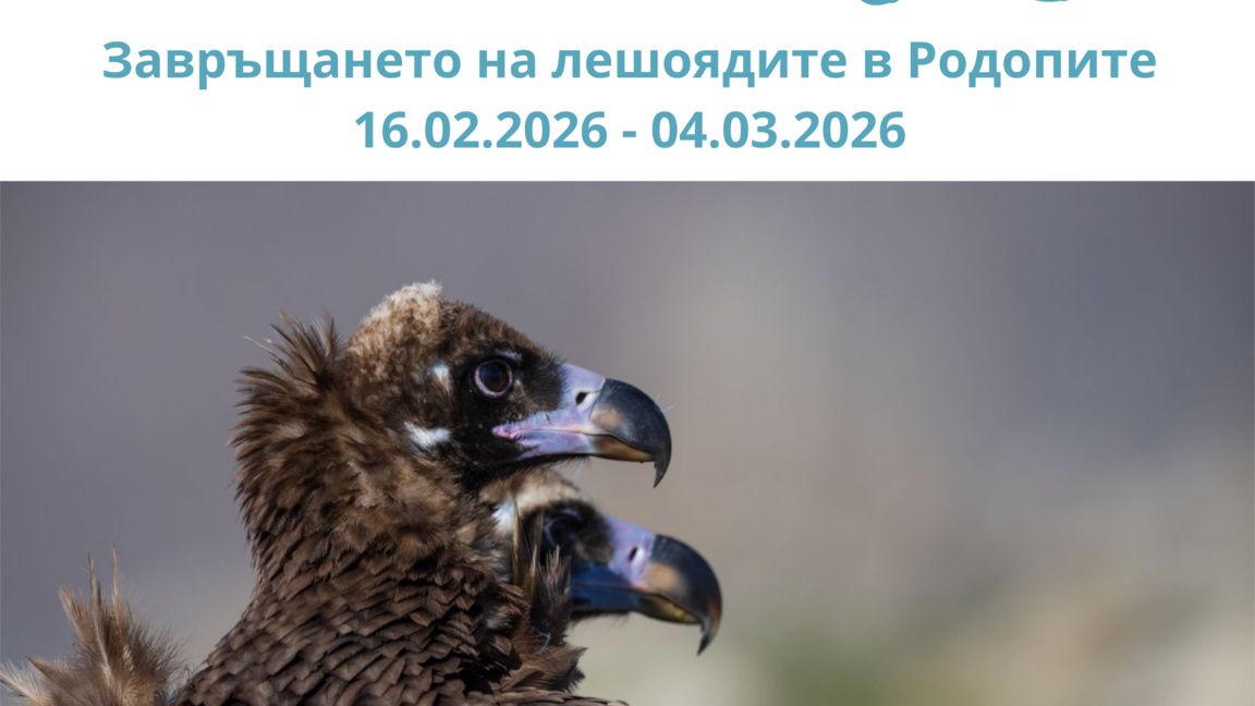 Дивата душа на Родопите оживява във фотоизложба