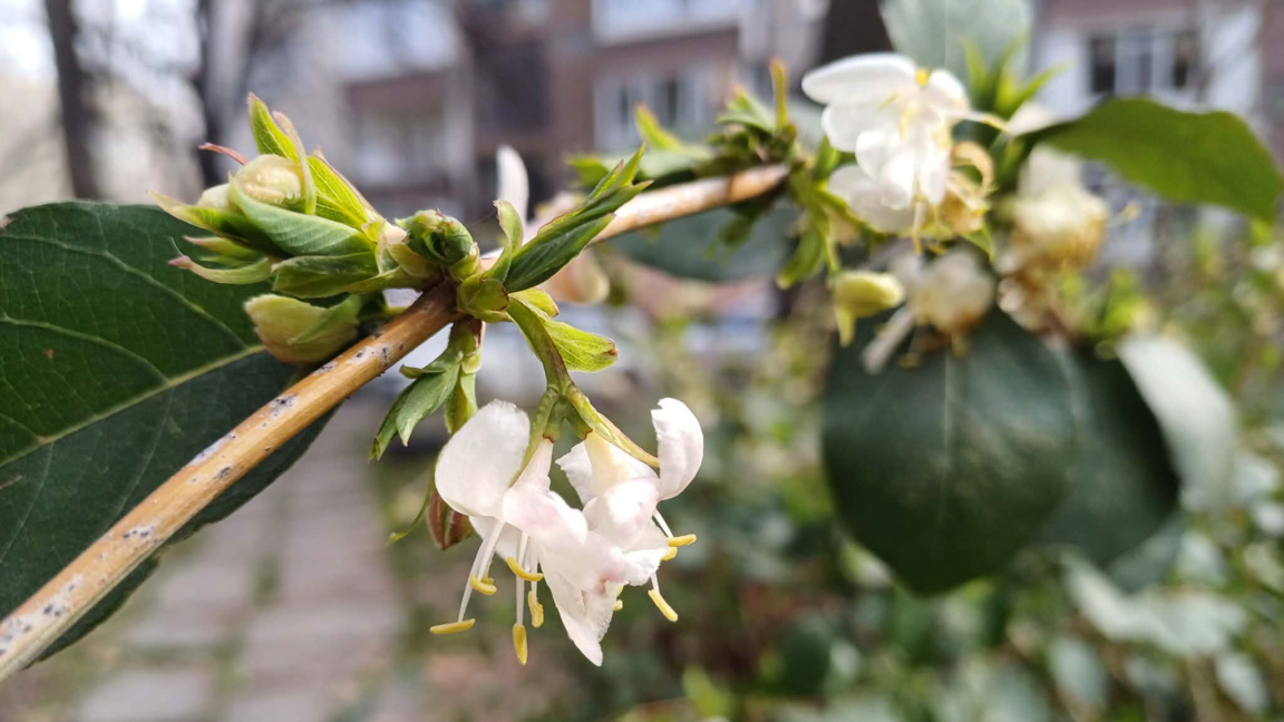 "Ден след ден" в петък, 13-ти март