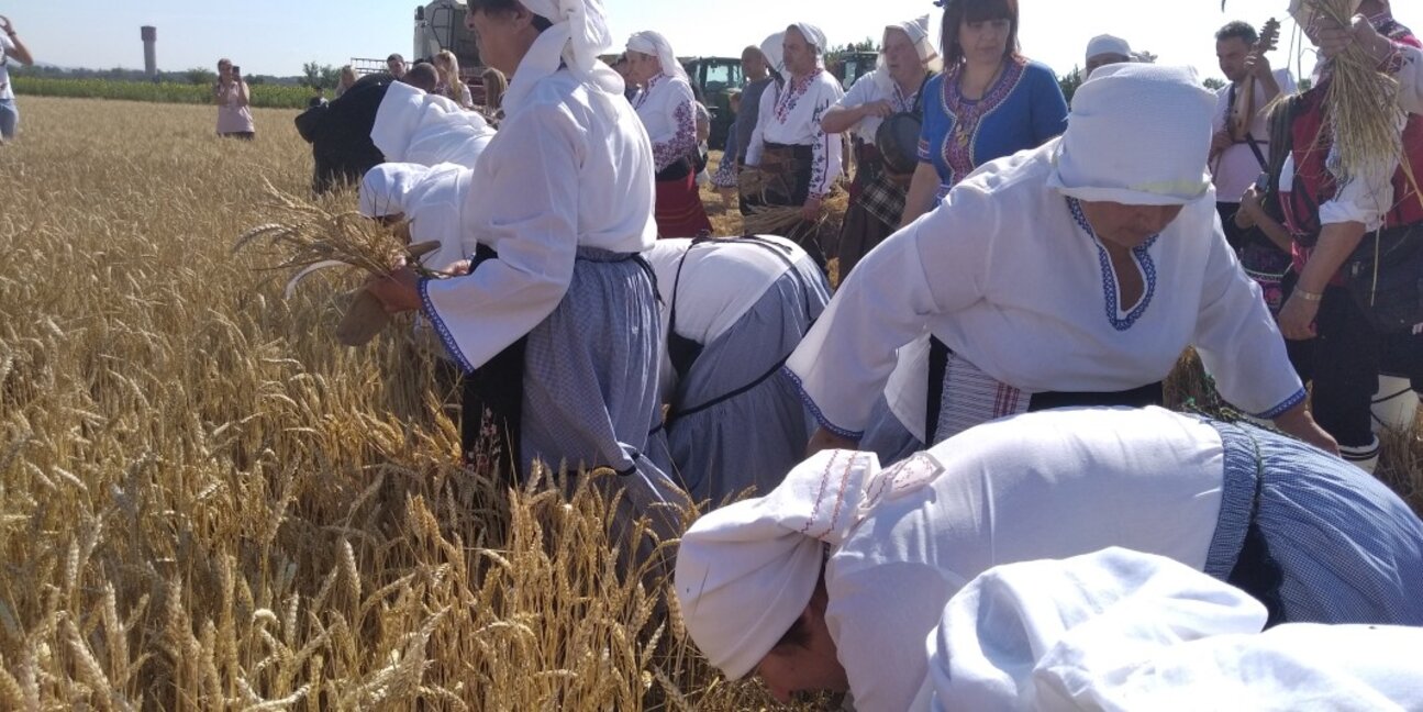 Преславен ще извърви пътя на хляба