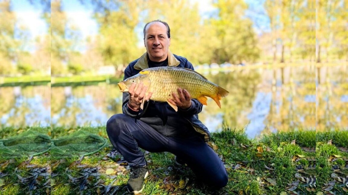 D’énormes carpes frétillent dans les bassins piscicoles à Stolétovo
