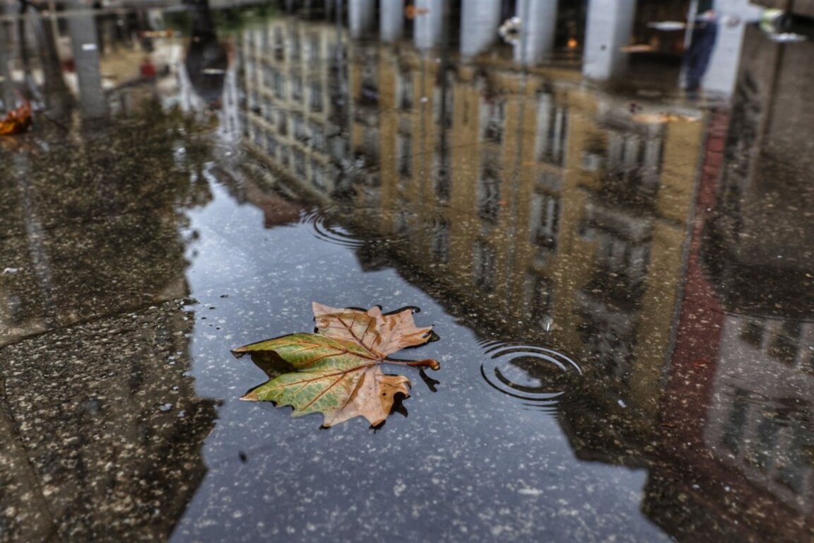 Météo : Grisaille et précipitations…