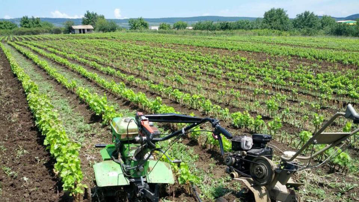 Информационна кампания за директните  плащания