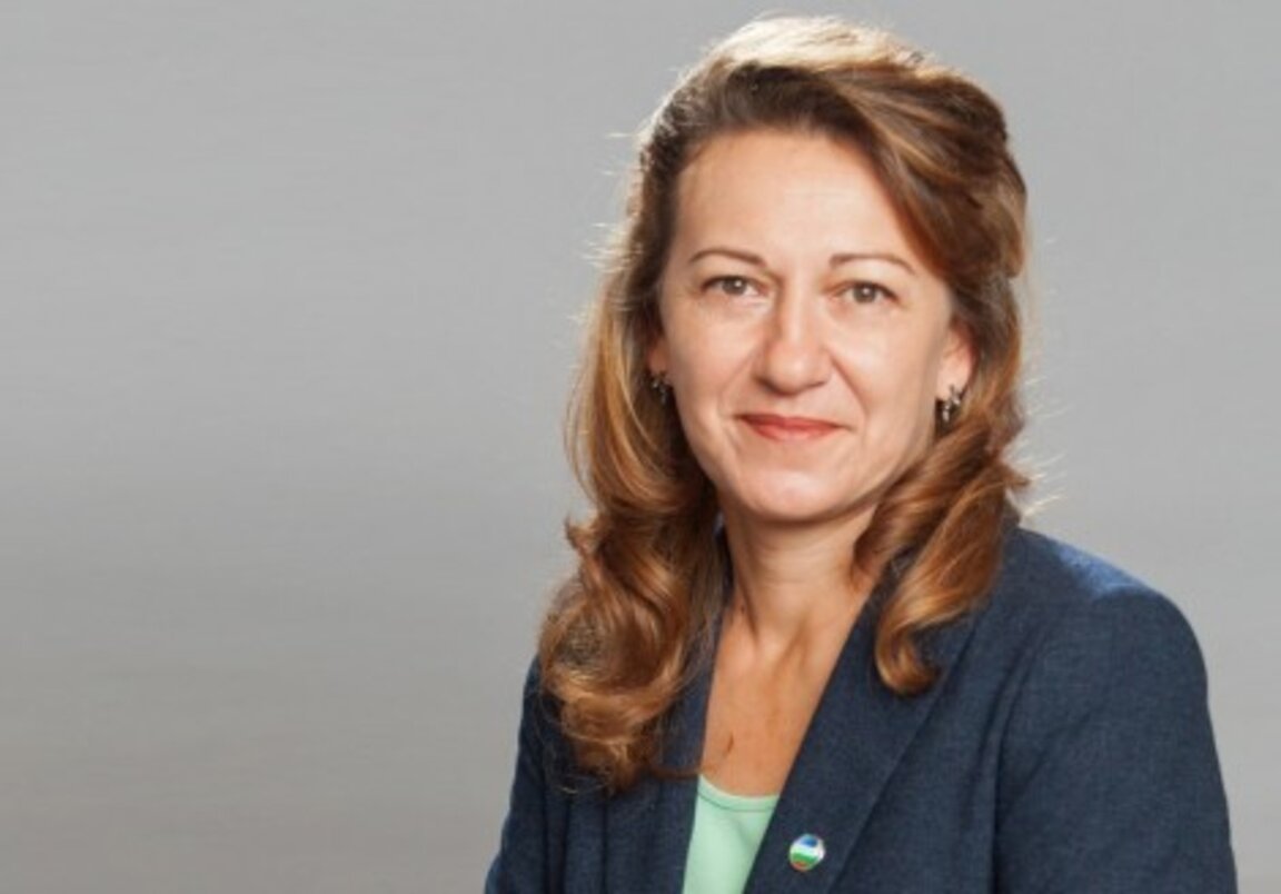 Стела Николова - ДБ