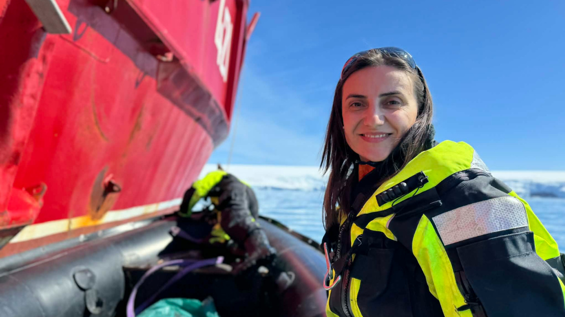 Даниела Паскал