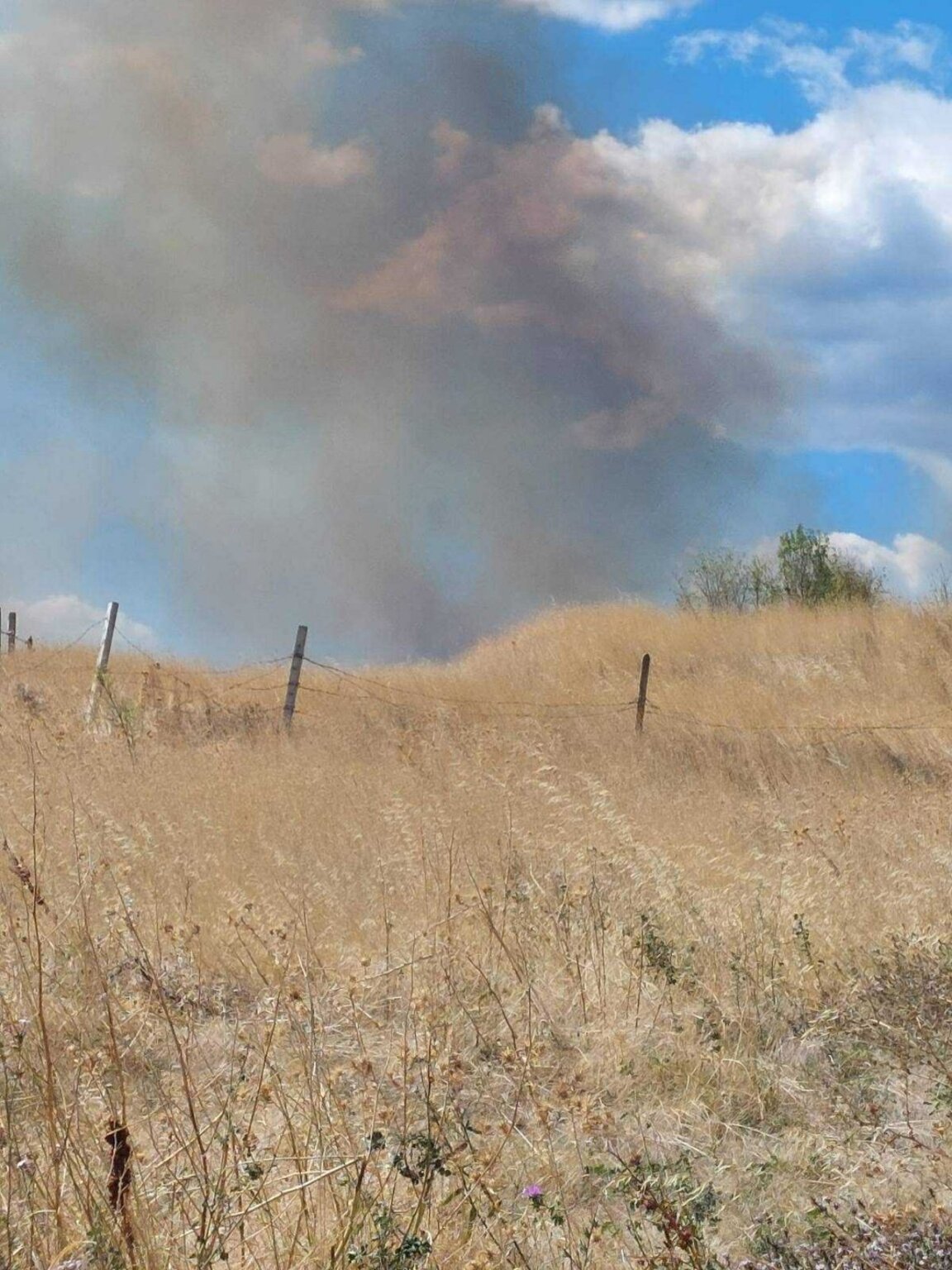 Овладян е пожарът край село Дълбоки
