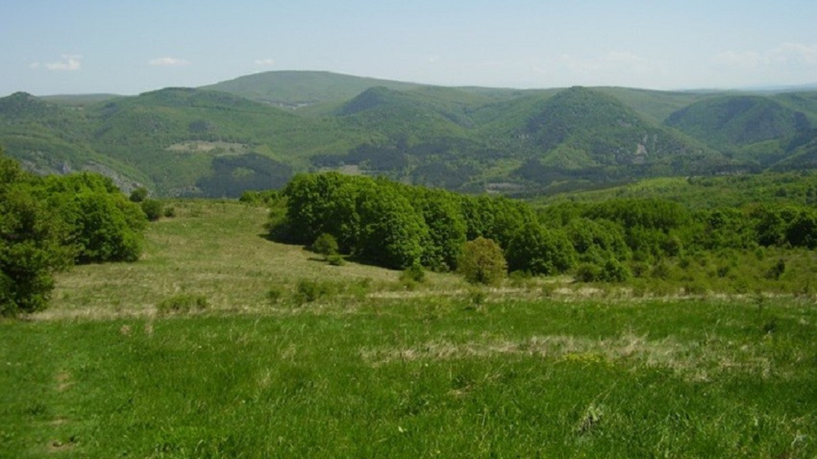 Слънчев петък