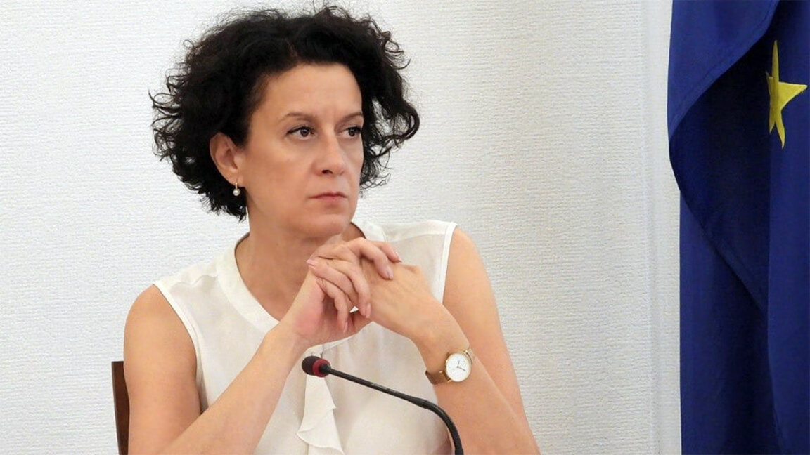 La adopción de una ley completamente nueva para los búlgaros en el extranjero es posible en un Parlamento con un largo horizonte de trabajo