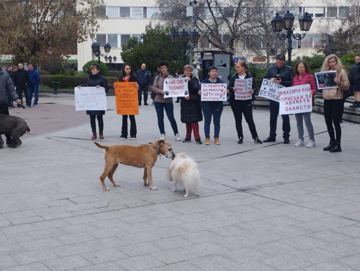 Втори протест в защита на животните се проведе във Видин