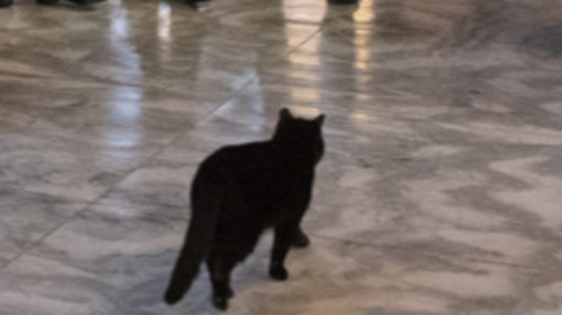 Снимката е илюстративна