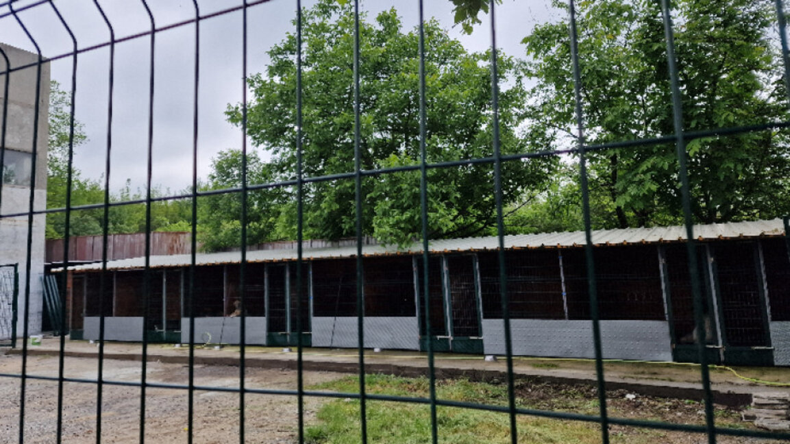 Повишен е капацитетът на стария приют за животни