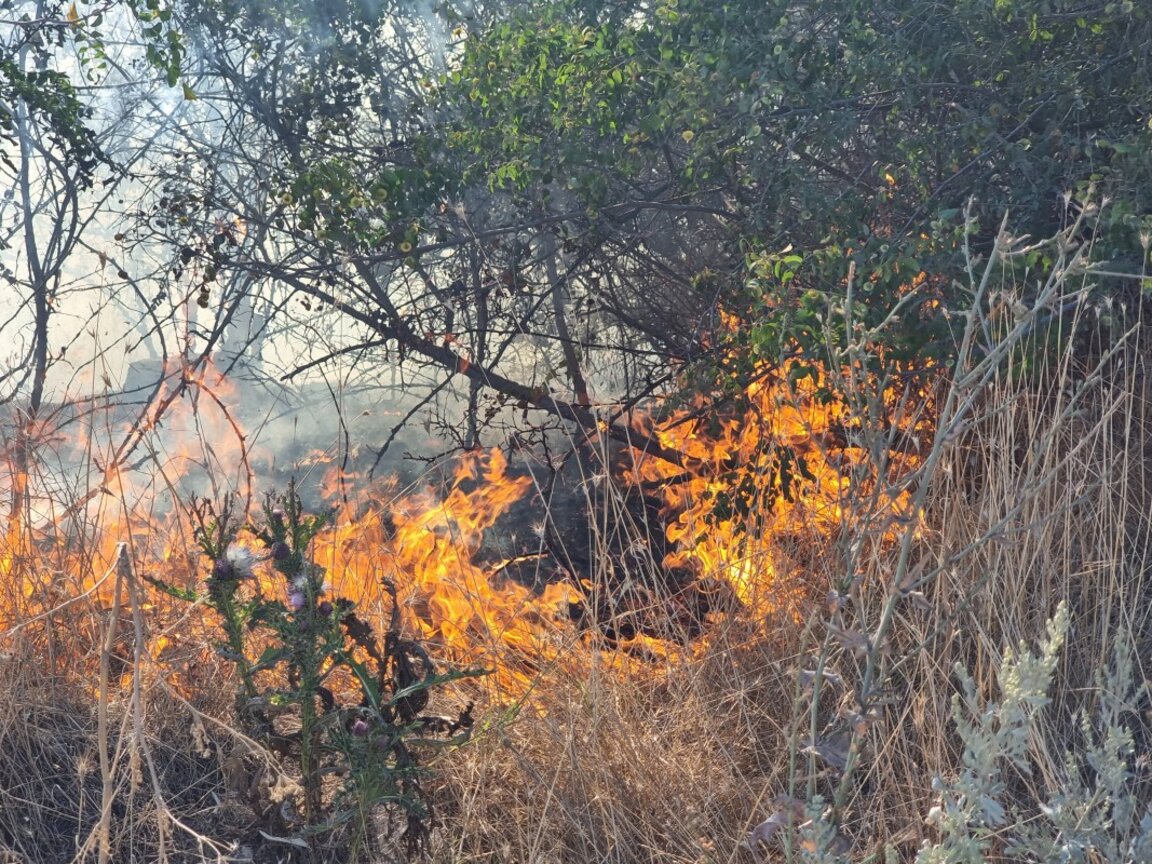 Пожар край свищовското село Ореш, засегнати са къщи и постройки