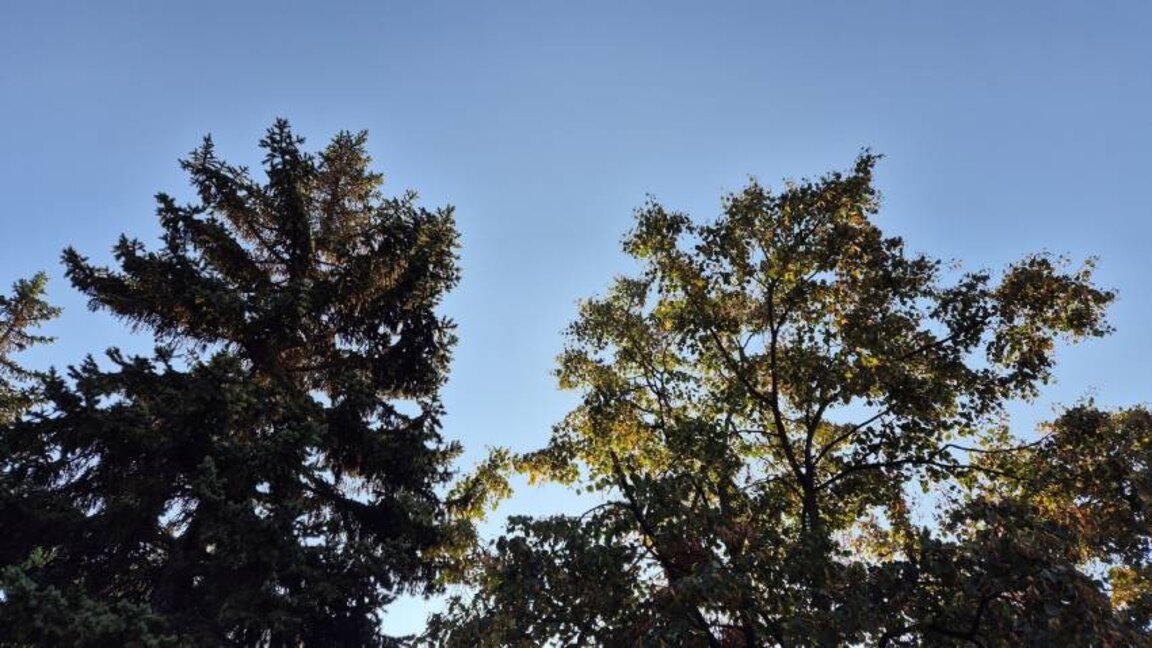 Week ends with autumn-like clouds and rain