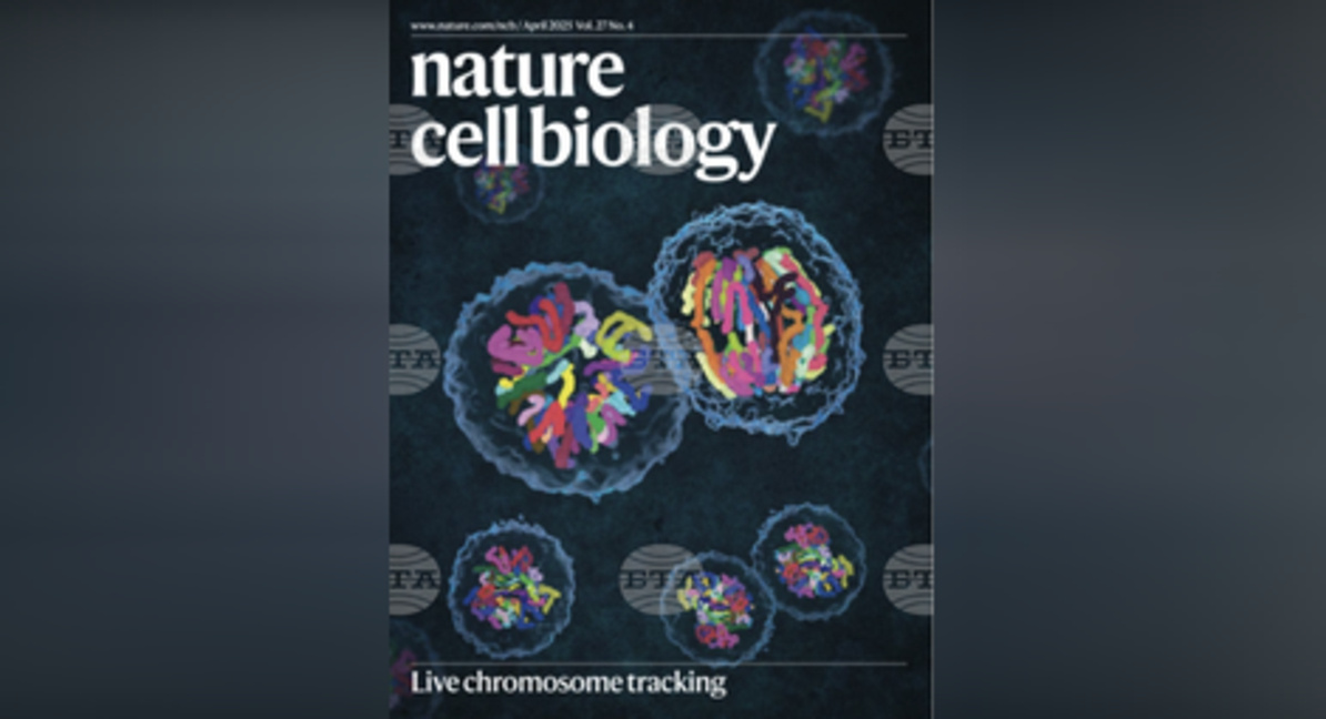 Списание Nature отличи български учени за иновативен метод за проследяване на хромозомите