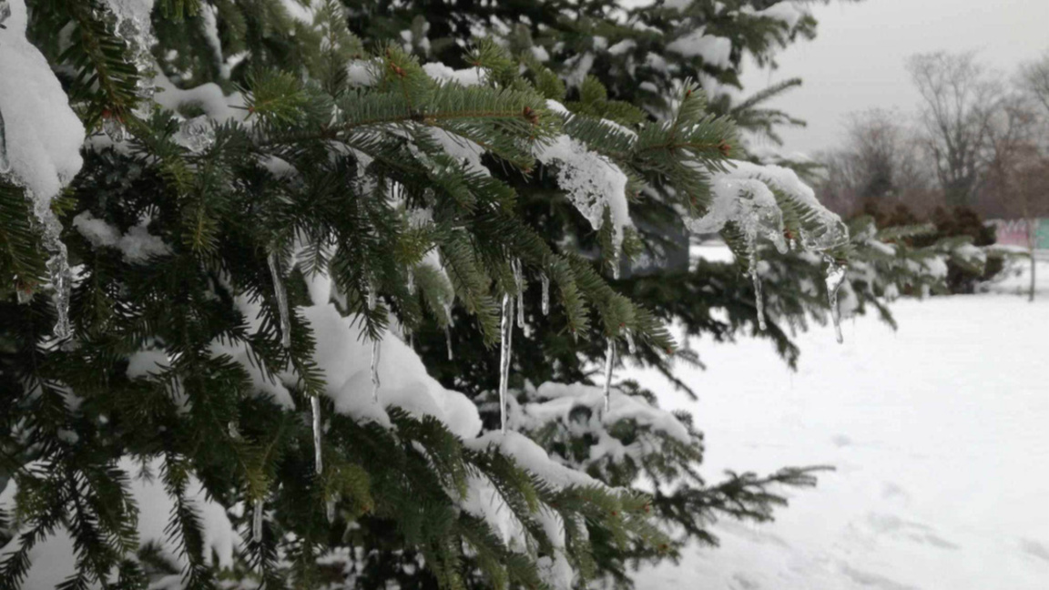 Parashikimi i motit për 27 dhjetorin