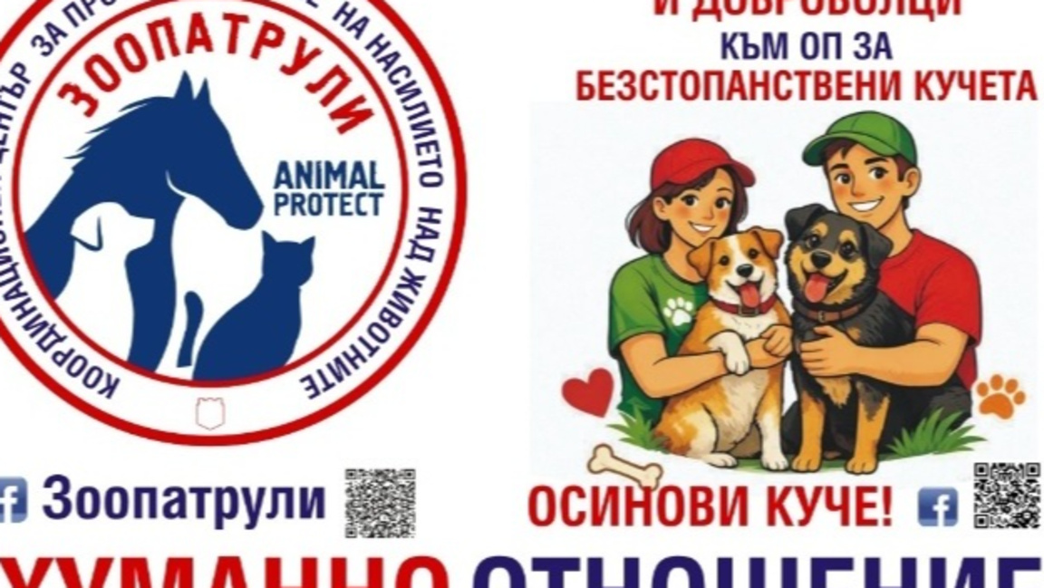 Стикери по автобусите във Варна призовават за хуманно отношение към животните
