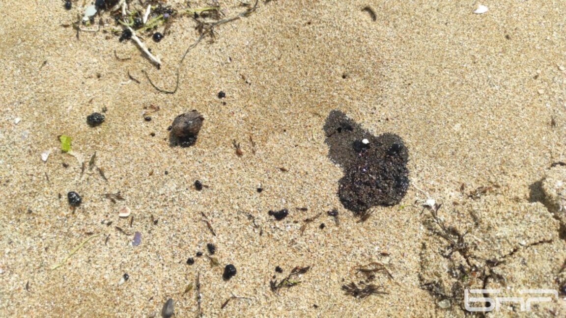 Образуванията от черна субстанция, изплували на плажа  по Южното Черноморие -  5 май 2025 г.