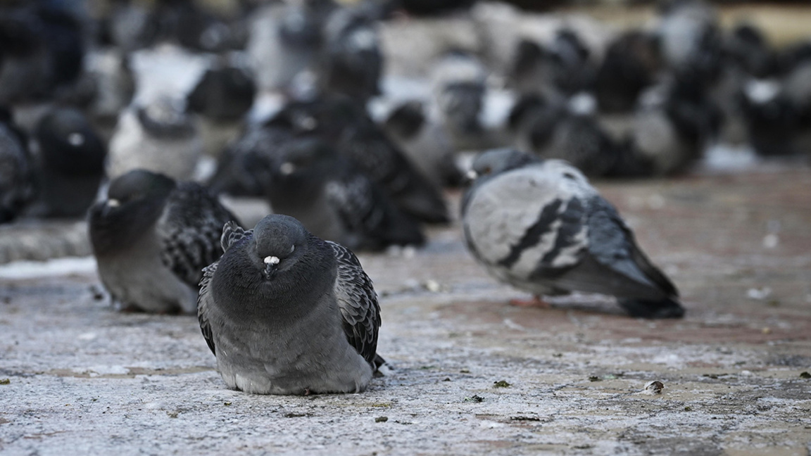 прогноза за времето